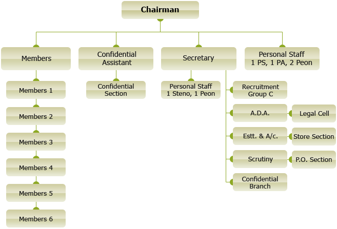 Organisation Structure